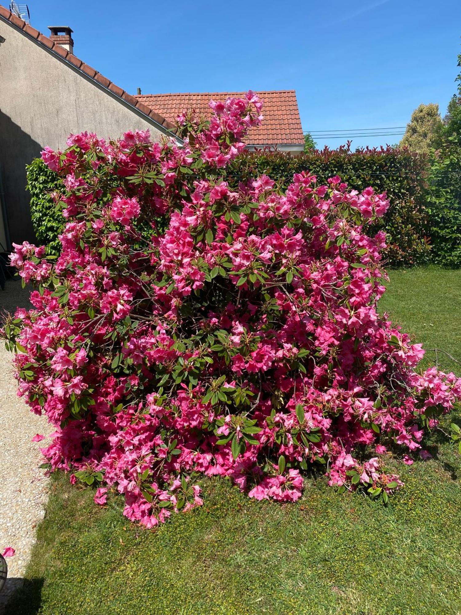 Bed and Breakfast Le Petitepinay Moitron-sur-Sarthe Экстерьер фото
